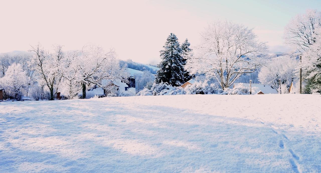 Domaine Des Marequiers Chambre Silene Saint-Germain-du-Teil Bagian luar foto