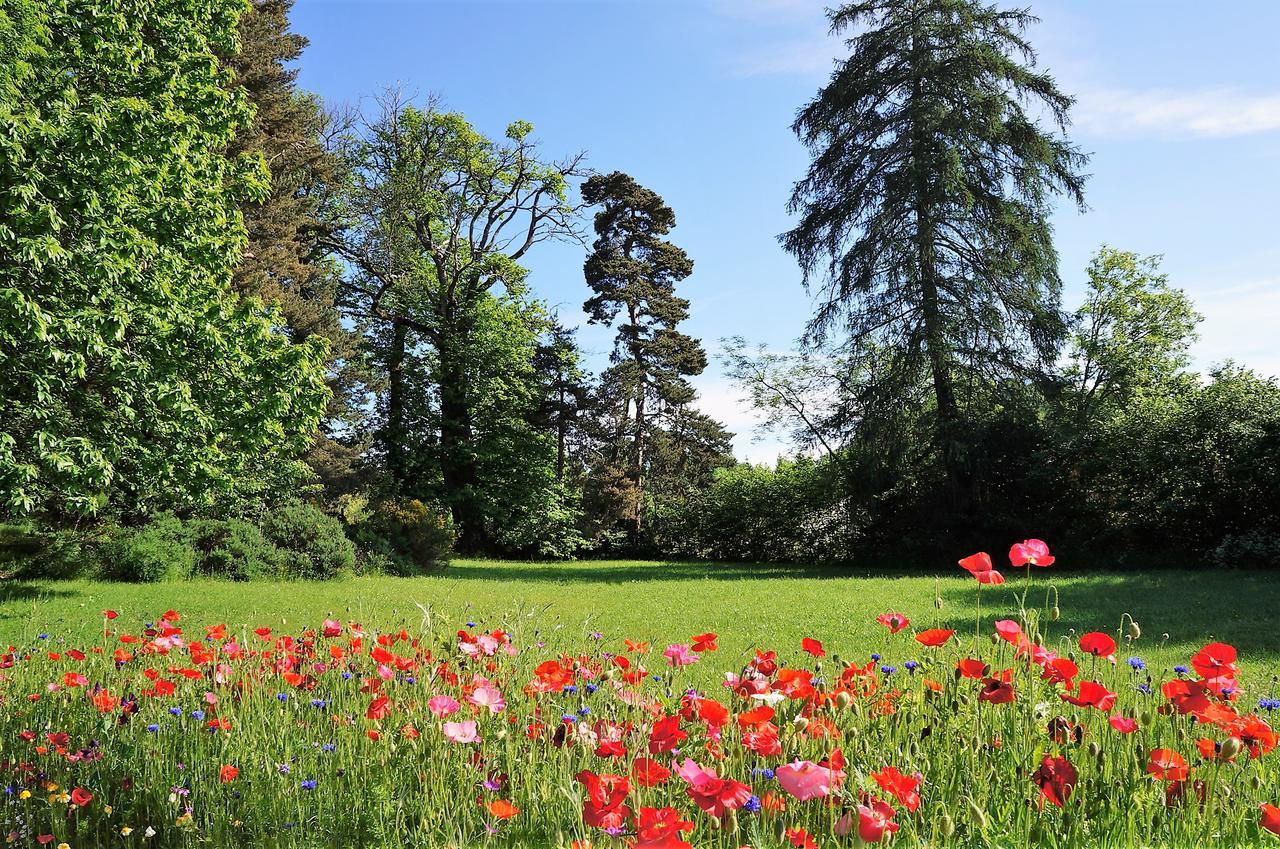 Domaine Des Marequiers Chambre Silene Saint-Germain-du-Teil Bagian luar foto