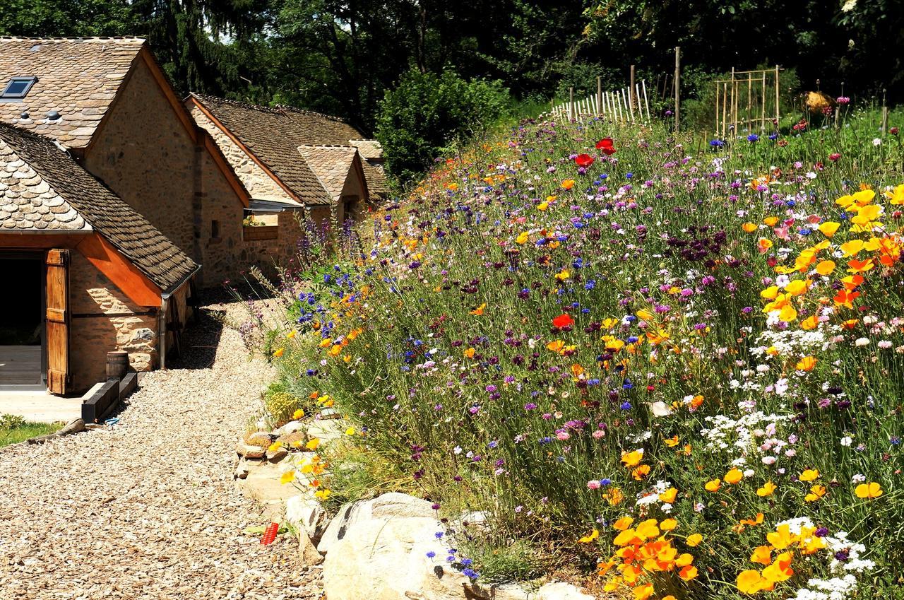 Domaine Des Marequiers Chambre Silene Saint-Germain-du-Teil Bagian luar foto